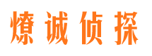 谢家集市侦探调查公司